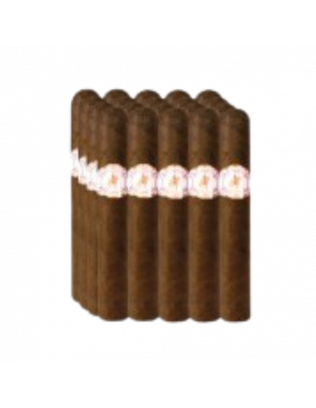 CIGARMASTER ROBUSTO - BUNDLE WITH 20 UNITS