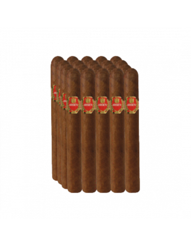 ARGEN 1895 CORONA - BUNDLE WITH 20 UNITS